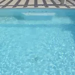 Giutitta